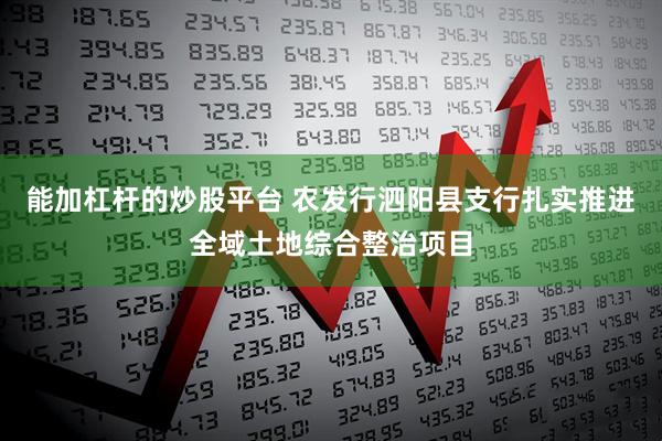 能加杠杆的炒股平台 农发行泗阳县支行扎实推进全域土地综合整治项目
