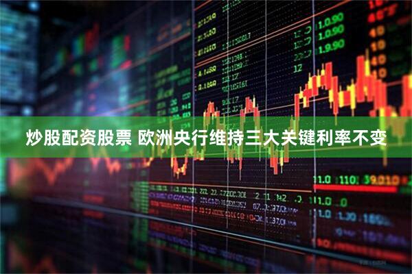 炒股配资股票 欧洲央行维持三大关键利率不变